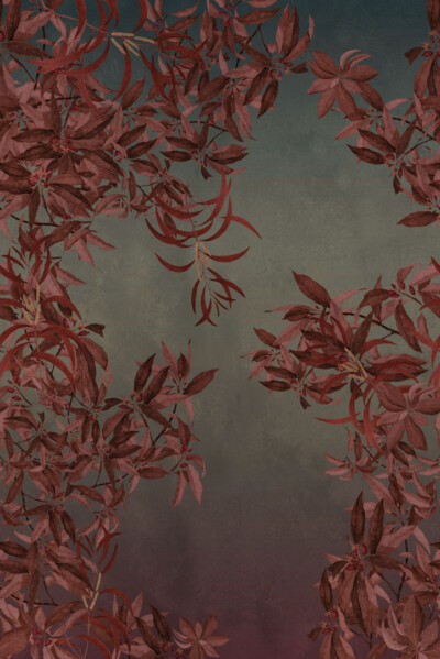 papel parede nacional home finish bio habitat 101038