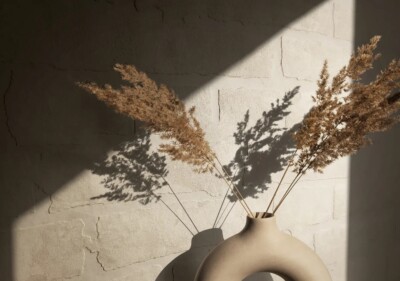 terra 34611 ambiente vivi decor