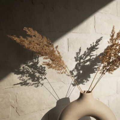terra 34611 ambiente vivi decor
